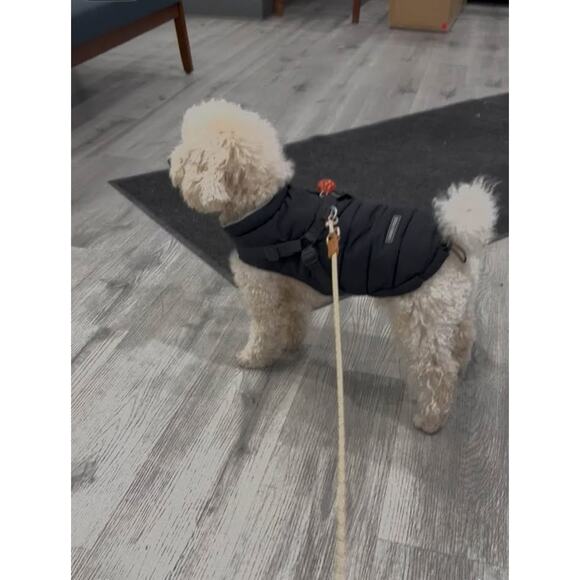 Canada pooch dog puff jacket, size 1, 12” length - Picture 5 of 5